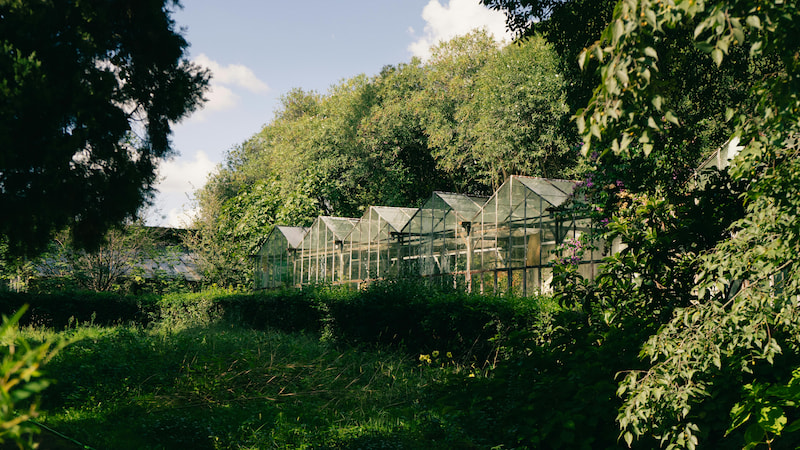 Теплицы для растений